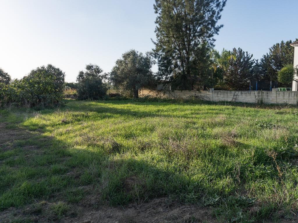 Residential Field - Ergates, Nicosia image 4