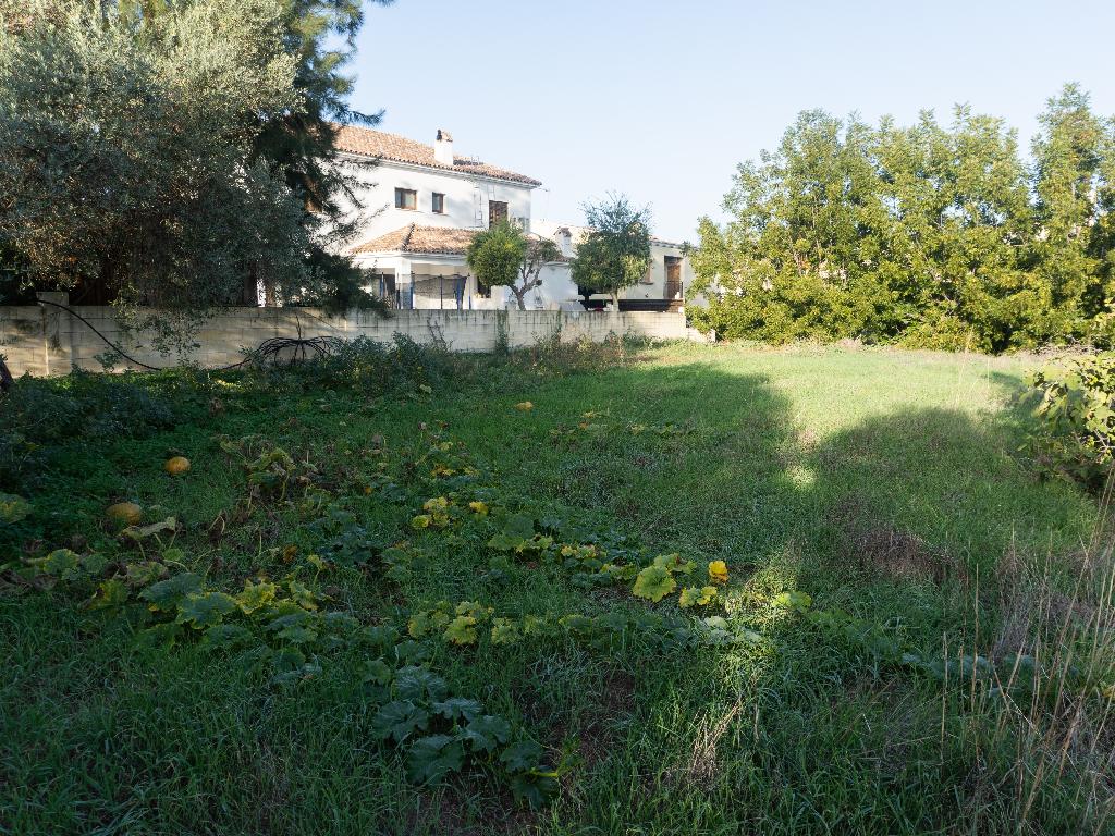 Residential Field - Ergates, Nicosia image 5