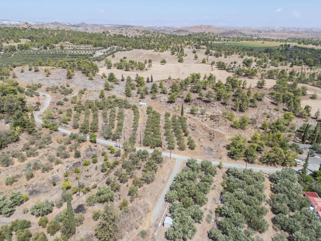 Field - Lithrodontas, Nicosia image 4