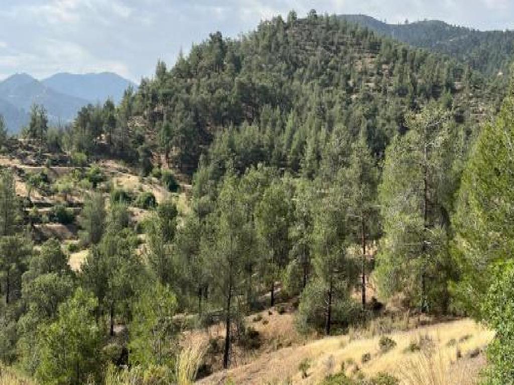 Agricultural land 16289 m² image 3