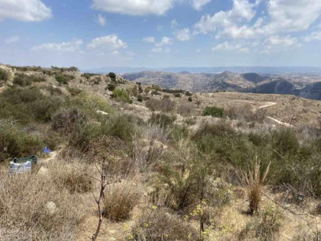 Agricultural land 7619 m² image 2