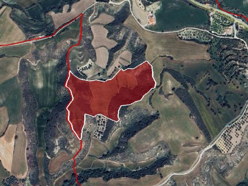 Field - Steni, Paphos image 5