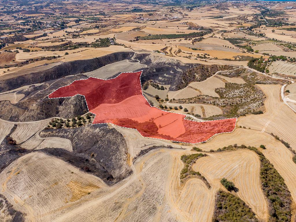 Field - Steni, Paphos image 8