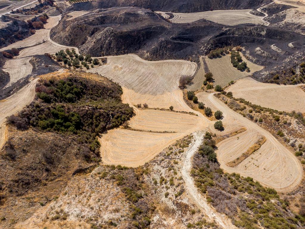 Field - Steni, Paphos image 4