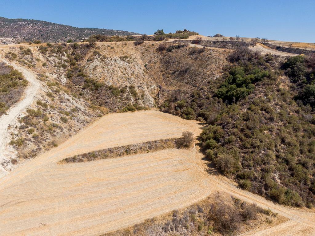 Field - Steni, Paphos image 7