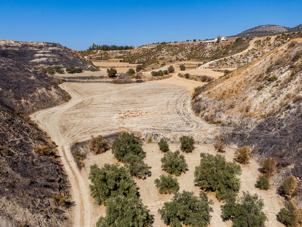Field - Steni, Paphos image 3