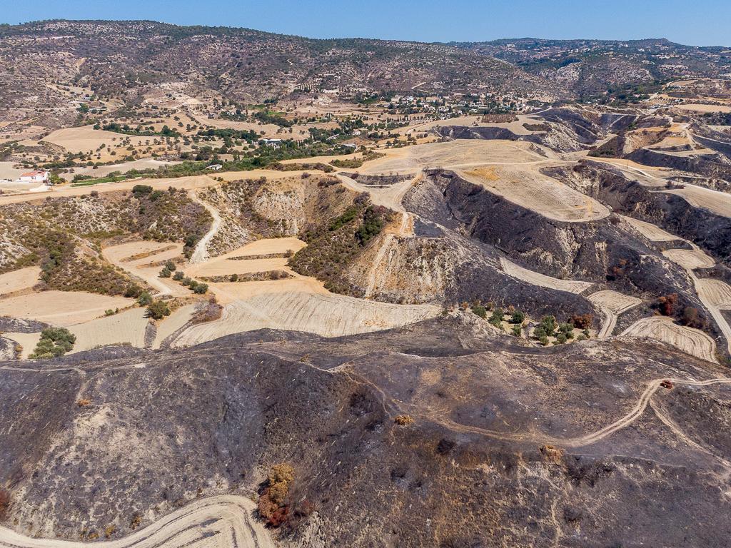 Field - Steni, Paphos image 6