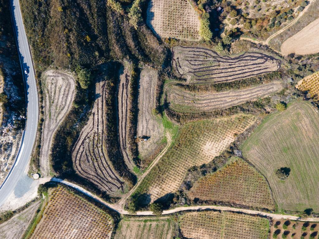 Χωράφι - Στρουμπί, Πάφος image 6