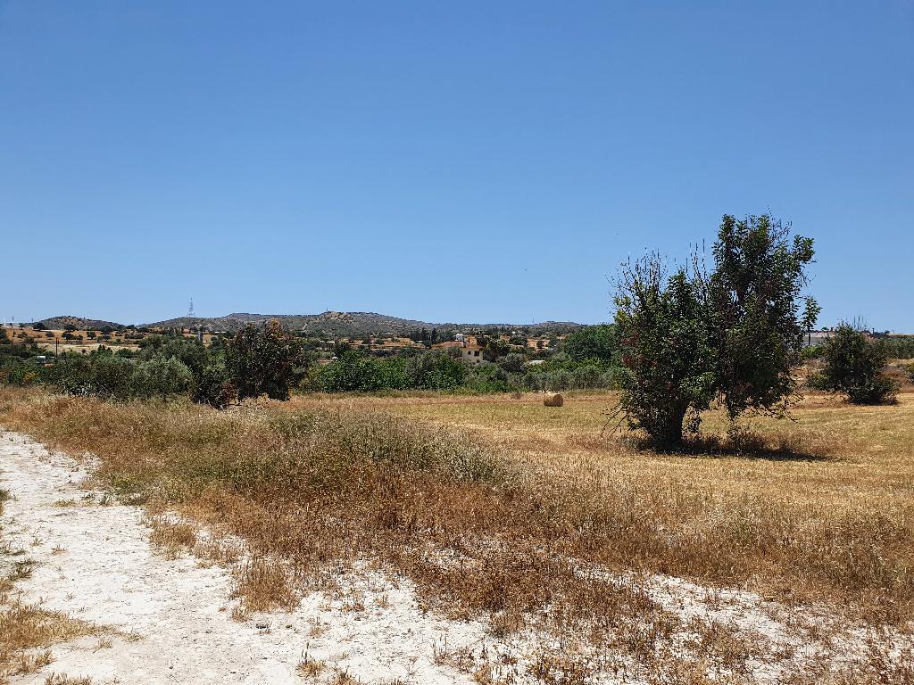 RESIDENTIAL PLOT SKARINOU 5621m2 image 6