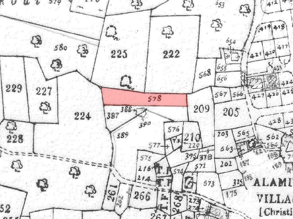 Residential field in the Alaminos image 3