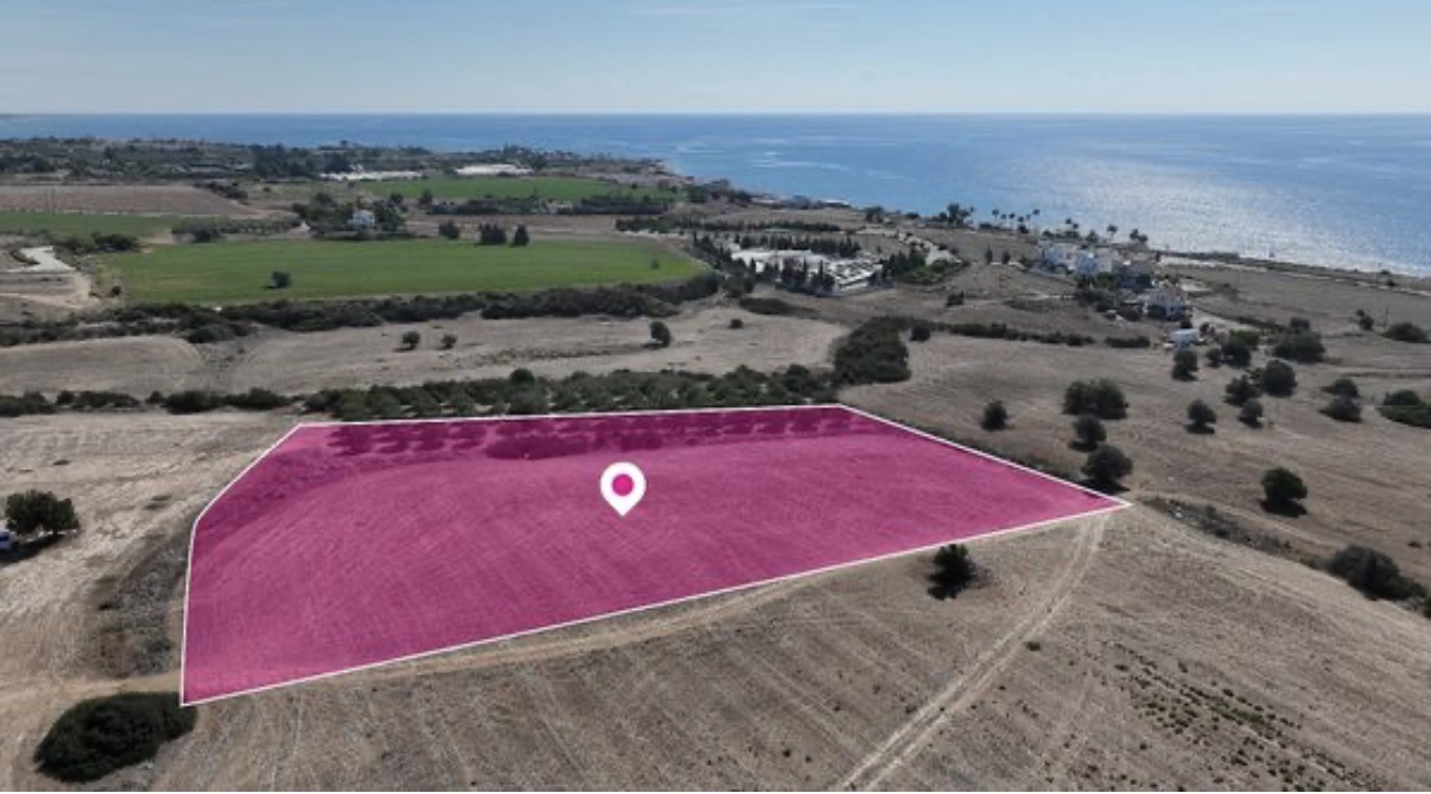 Touristic field - Agios Theodoros, Larnaca image 3