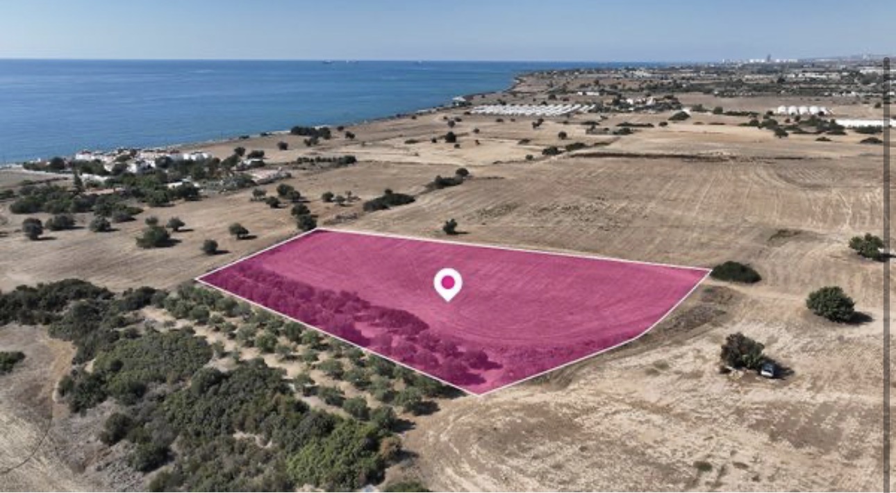 Touristic field - Agios Theodoros, Larnaca image 2