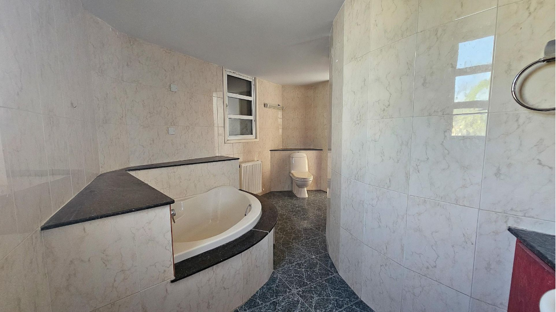 4-Bedroom Semi-Detached House - Pano Deftera, Nicosia image 24