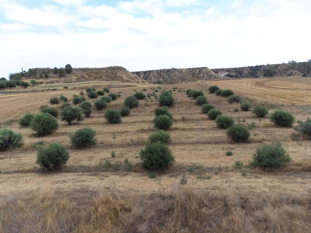 Residential Field - Pera, Nicosia image 7