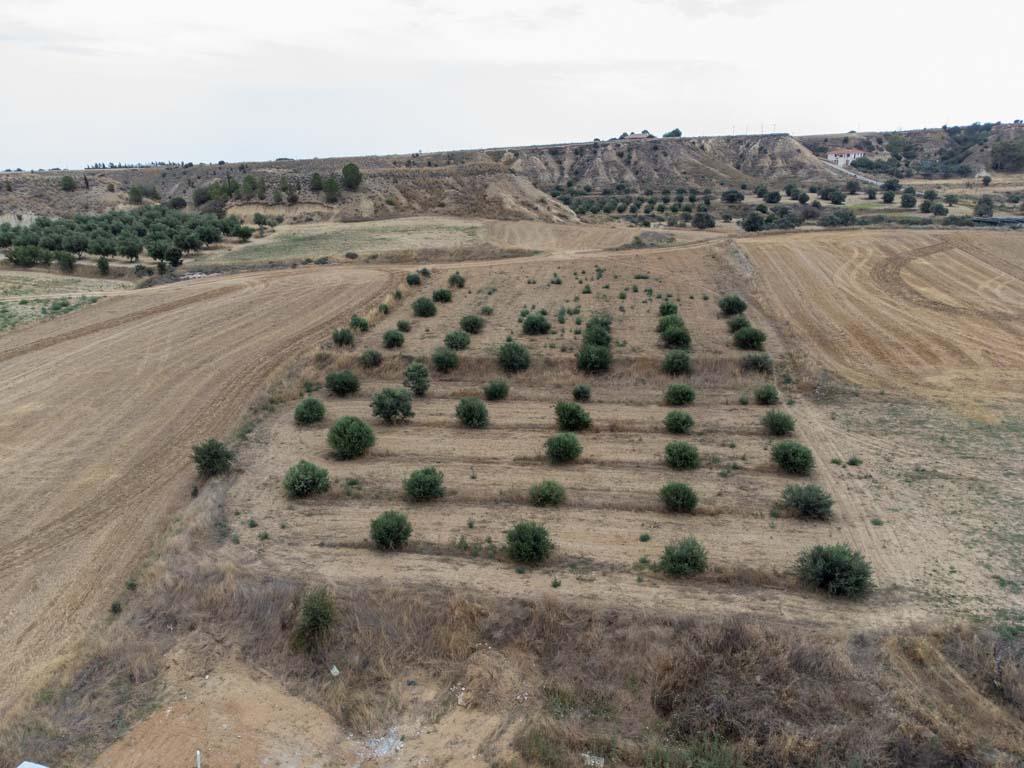 Residential Field - Pera, Nicosia image 4