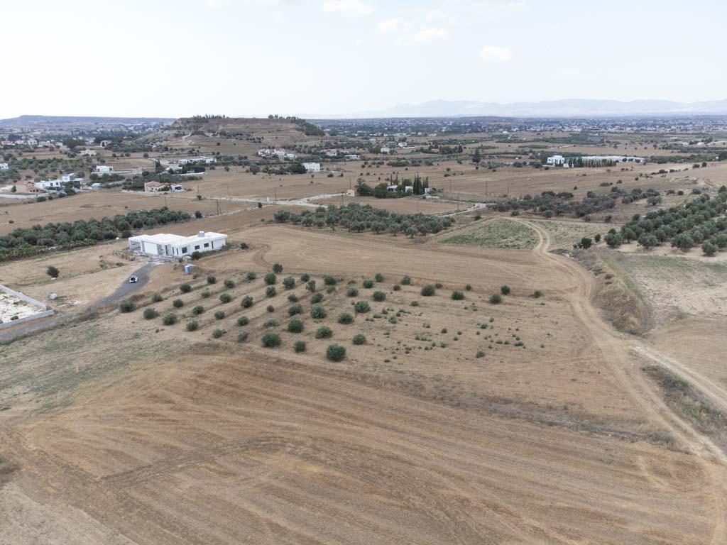 Residential Field - Pera, Nicosia image 5