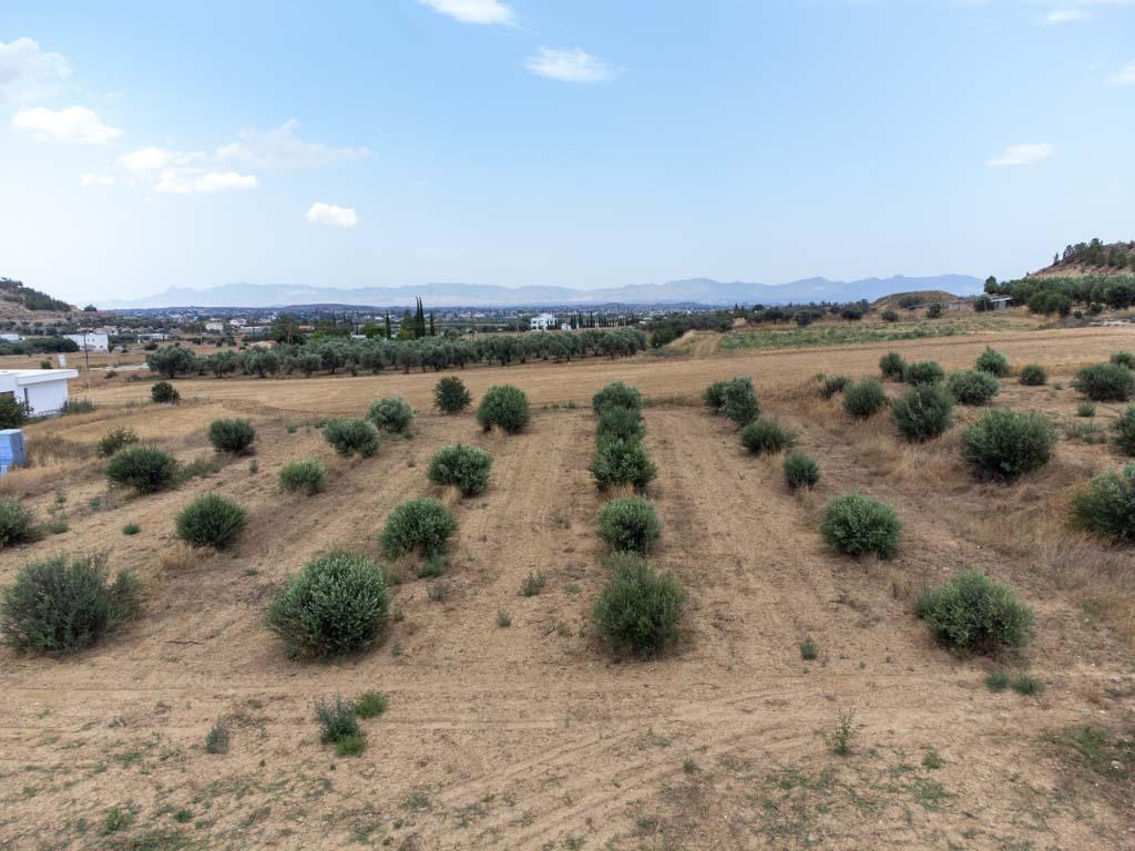 Residential Field - Pera, Nicosia image 6