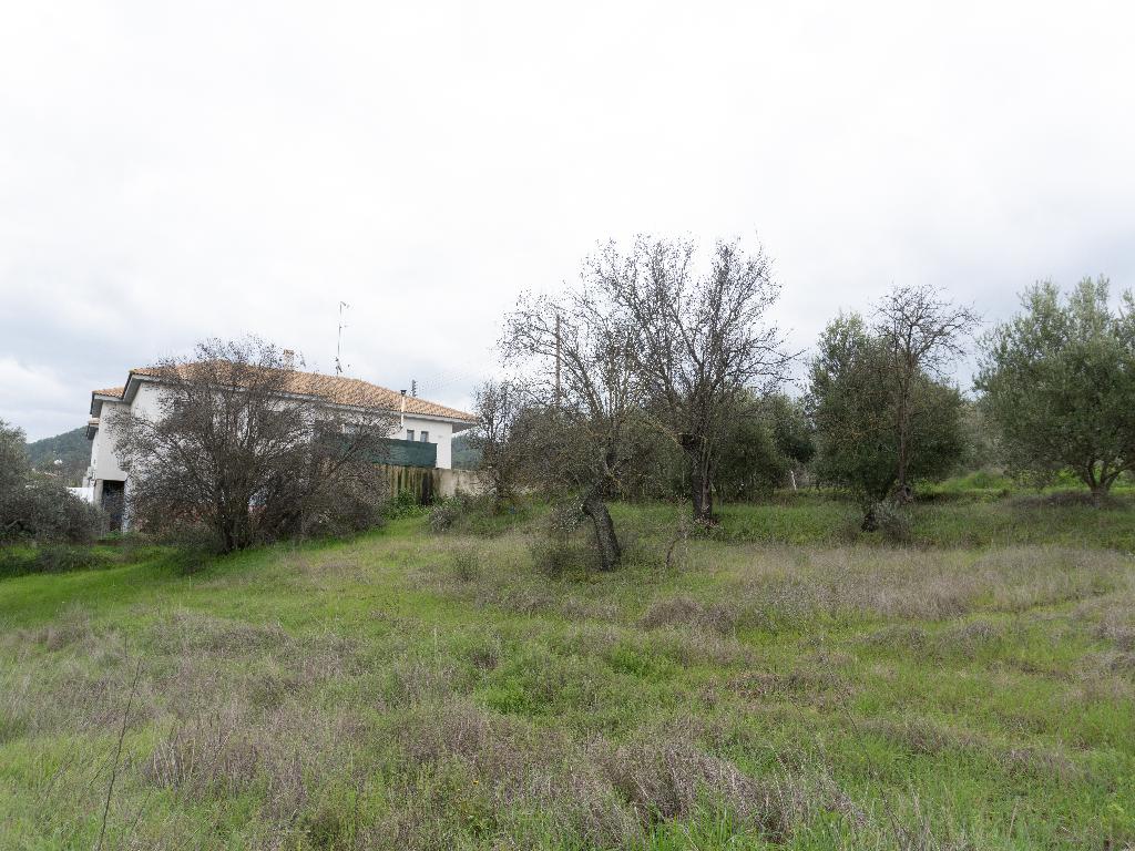 Residential Field in Kalo Chorio (Oreinis), Nicosia District image 5