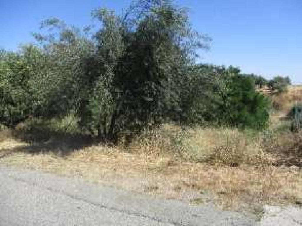 Residential Field in Kalo Chorio (Oreinis), Nicosia District image 3