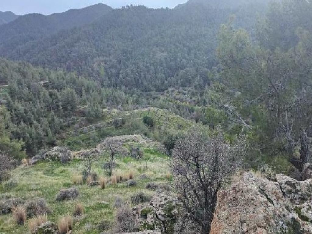 Γεωργικό Χωράφι στη Κοινότητα Ξυλιάτος, Επαρχία Λευκωσίας image 2