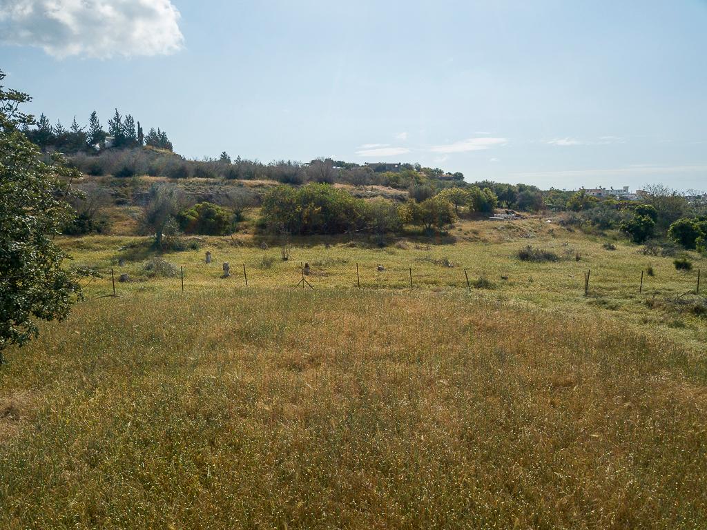Residential field - Ormidia, Larnaca image 6