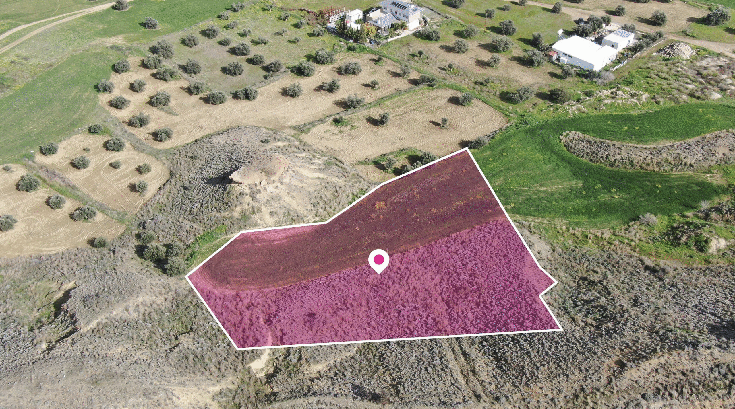 Residential field - Tseri, Nicosia image 4