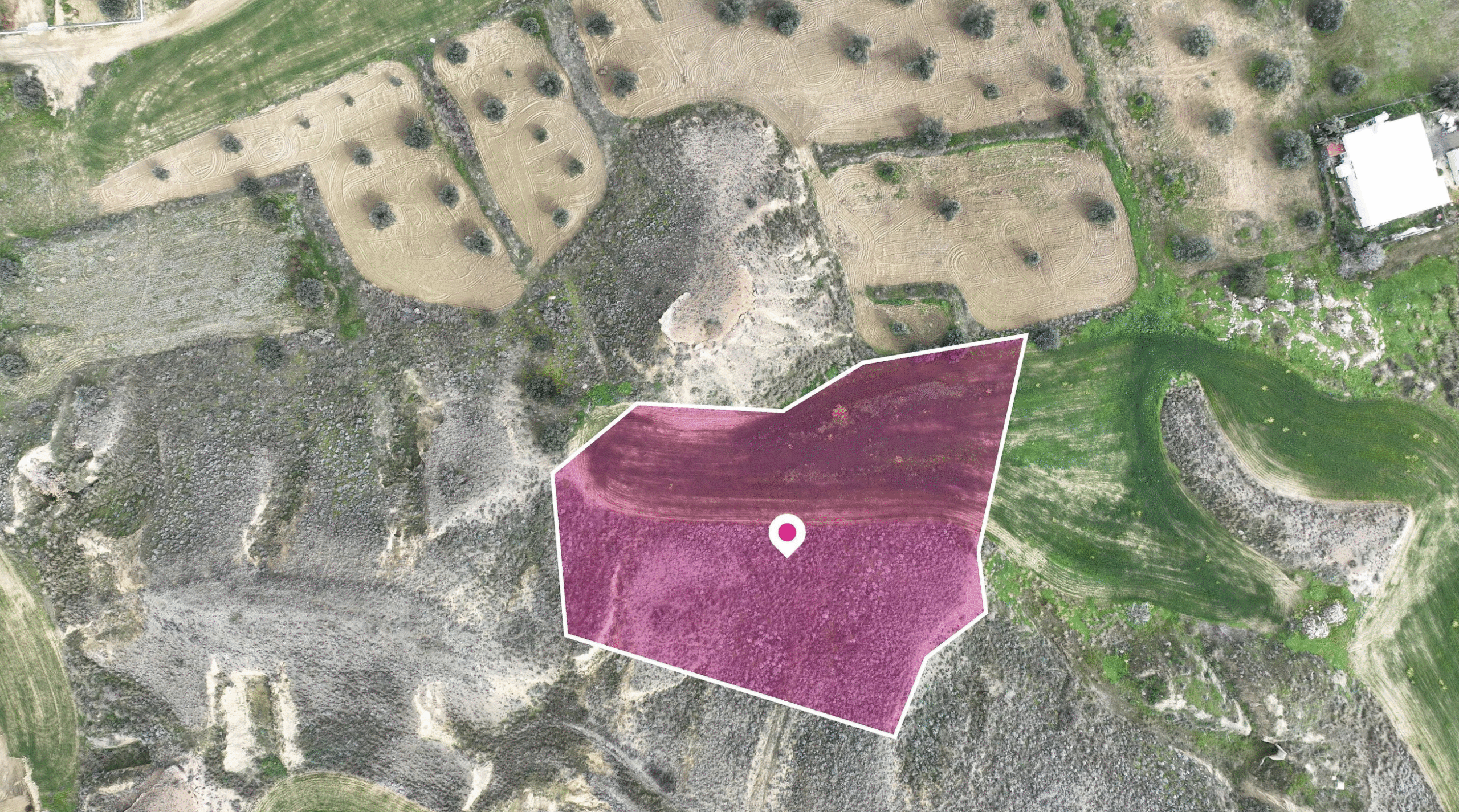 Residential field - Tseri, Nicosia image 3