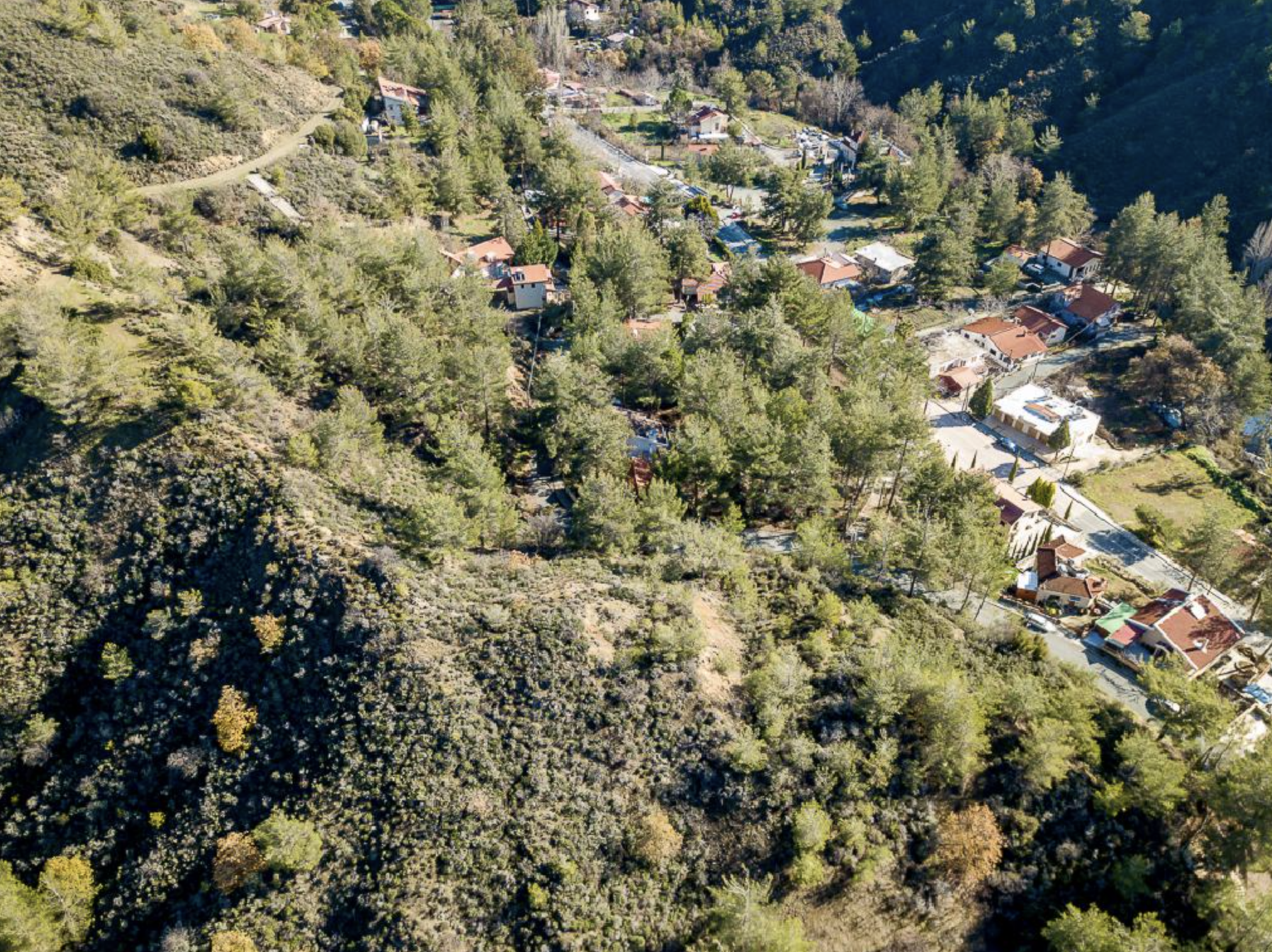 Residential plot - Kato Platres, Limassol image 5