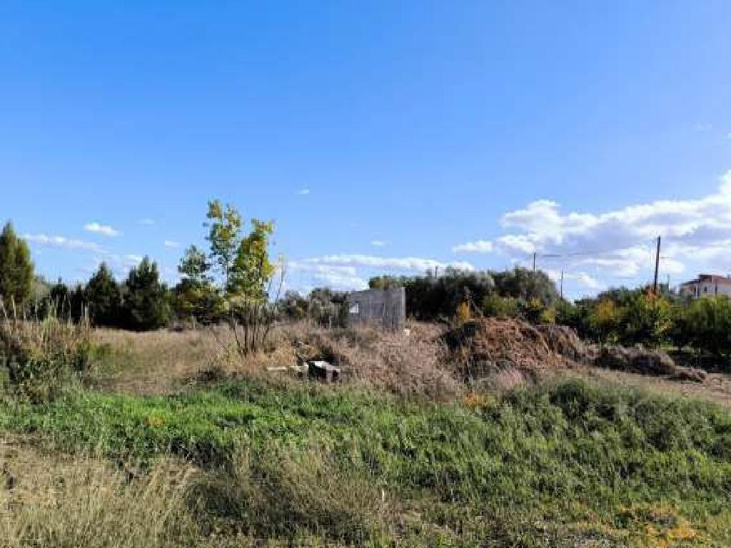 Residential field 1,587 m2 - Ormideia, Larnaca image 2