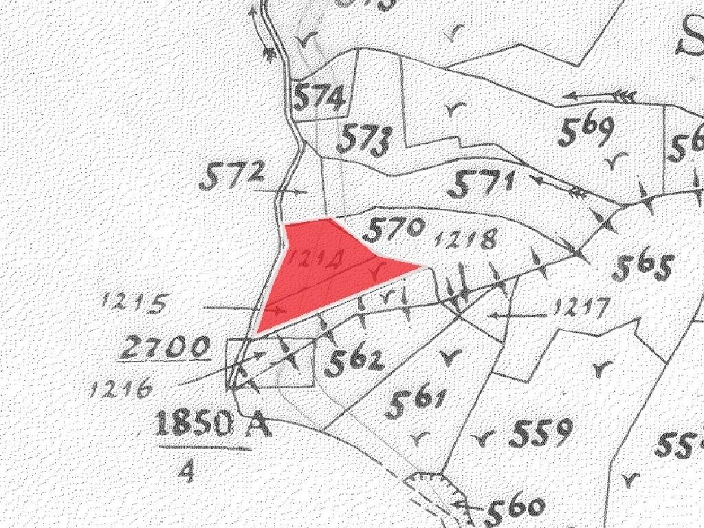 Two Residential Fields - Moutoulas, Nicosia image 3