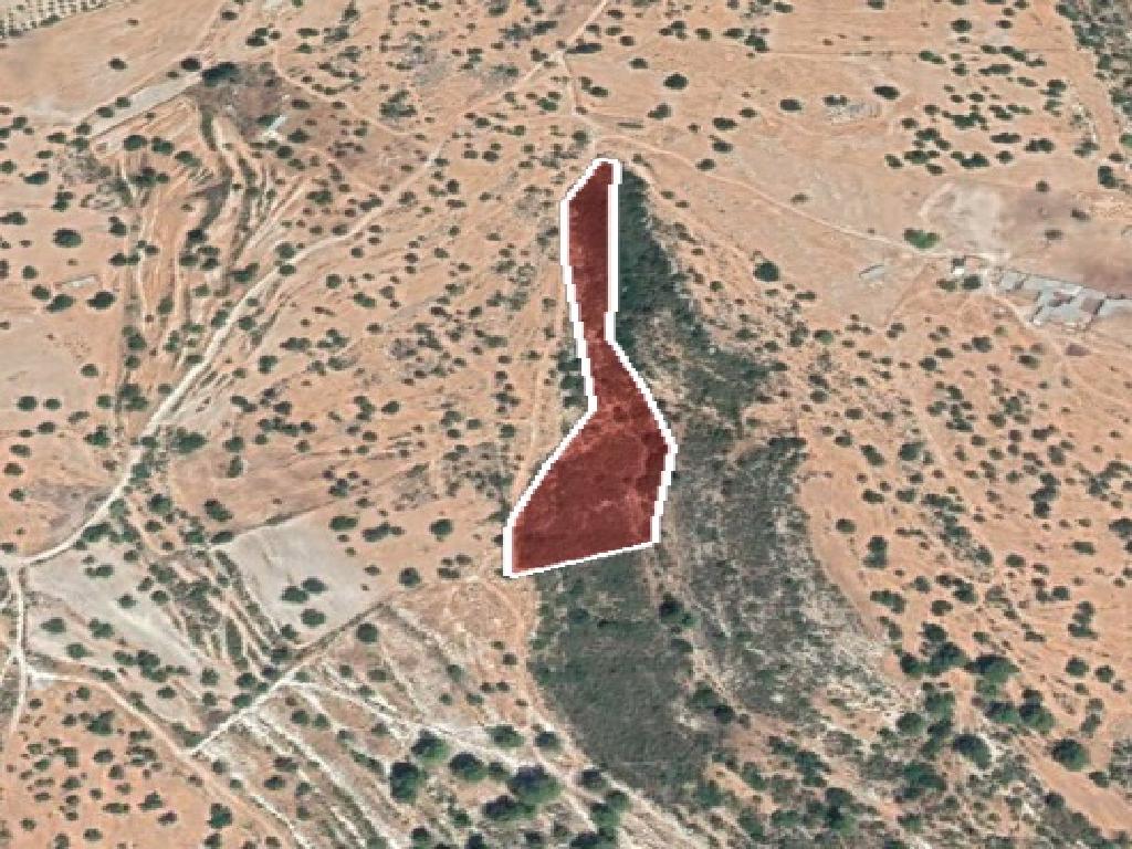 Agricultural Field Pachna 12375 m² image 3