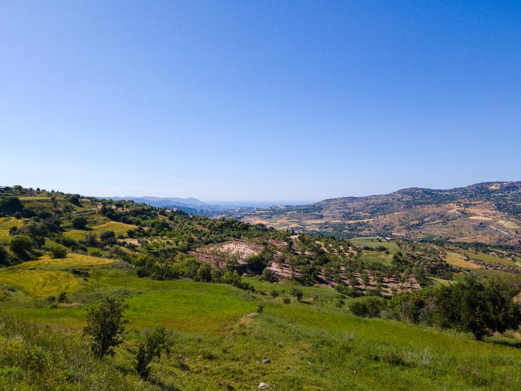 Δύο Γεωργικά Τεμάχια προς Πώληση - Σίμου, Πάφος image 2