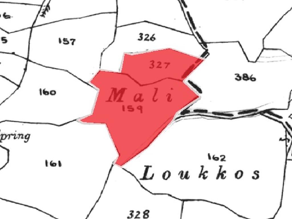 Δύο Γεωργικά Τεμάχια προς Πώληση - Σίμου, Πάφος image 5