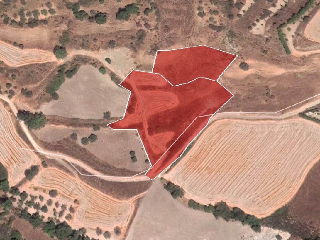 Δύο Γεωργικά Τεμάχια προς Πώληση - Σίμου, Πάφος image 4