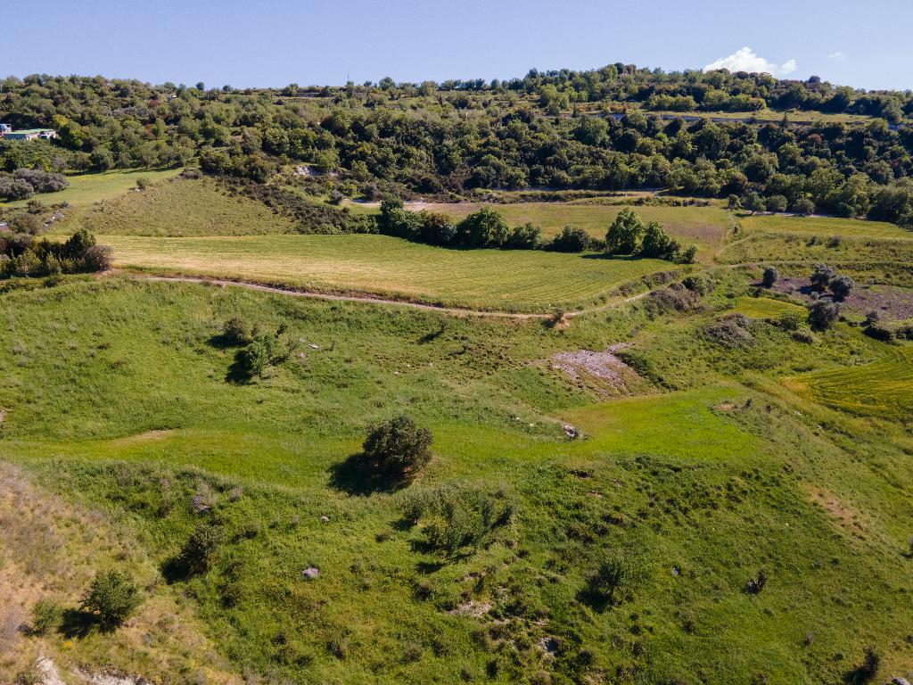 Δύο Γεωργικά Τεμάχια προς Πώληση - Σίμου, Πάφος image 3