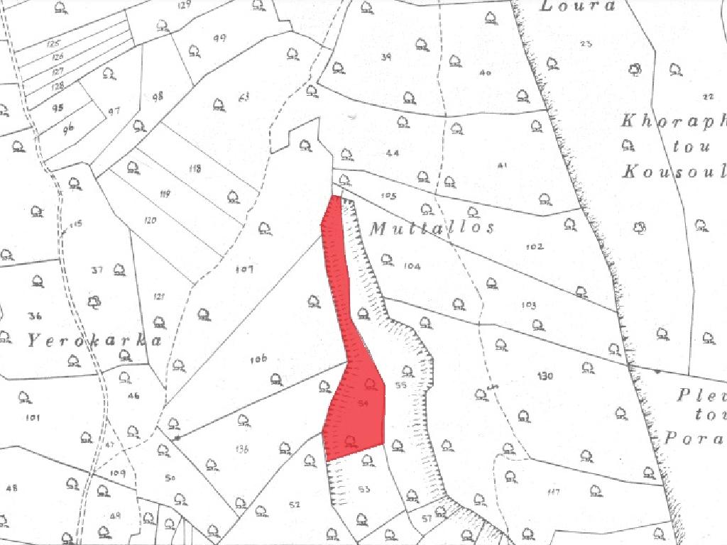 Agricultural Field Pachna 12375 m² image 2