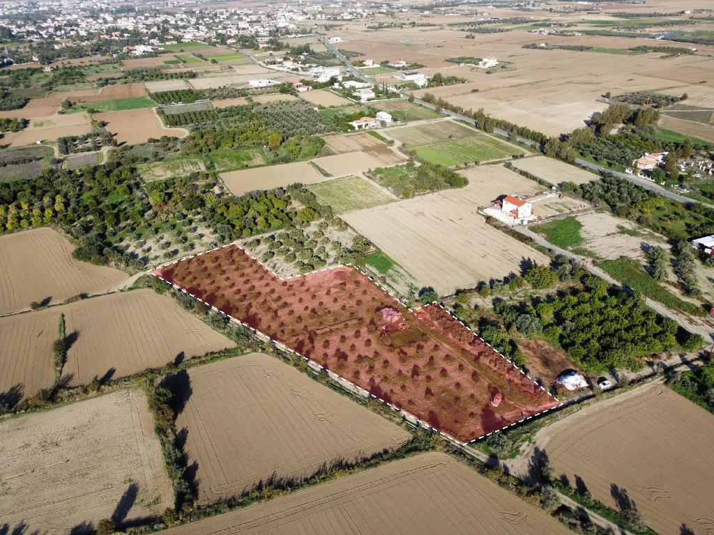 Residential Field – Pera Oreinis, Nicosia District image 4