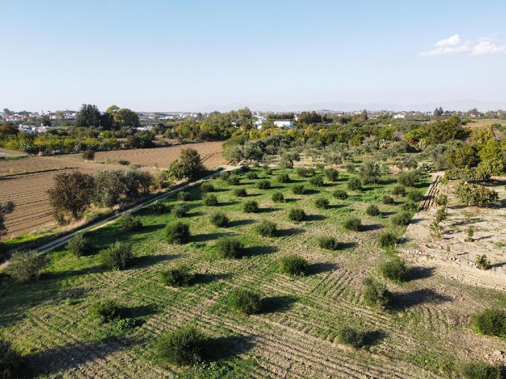 Residential Field – Pera Oreinis, Nicosia District image 2
