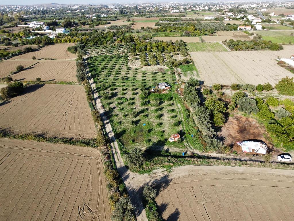 Residential Field – Pera Oreinis, Nicosia District image 3