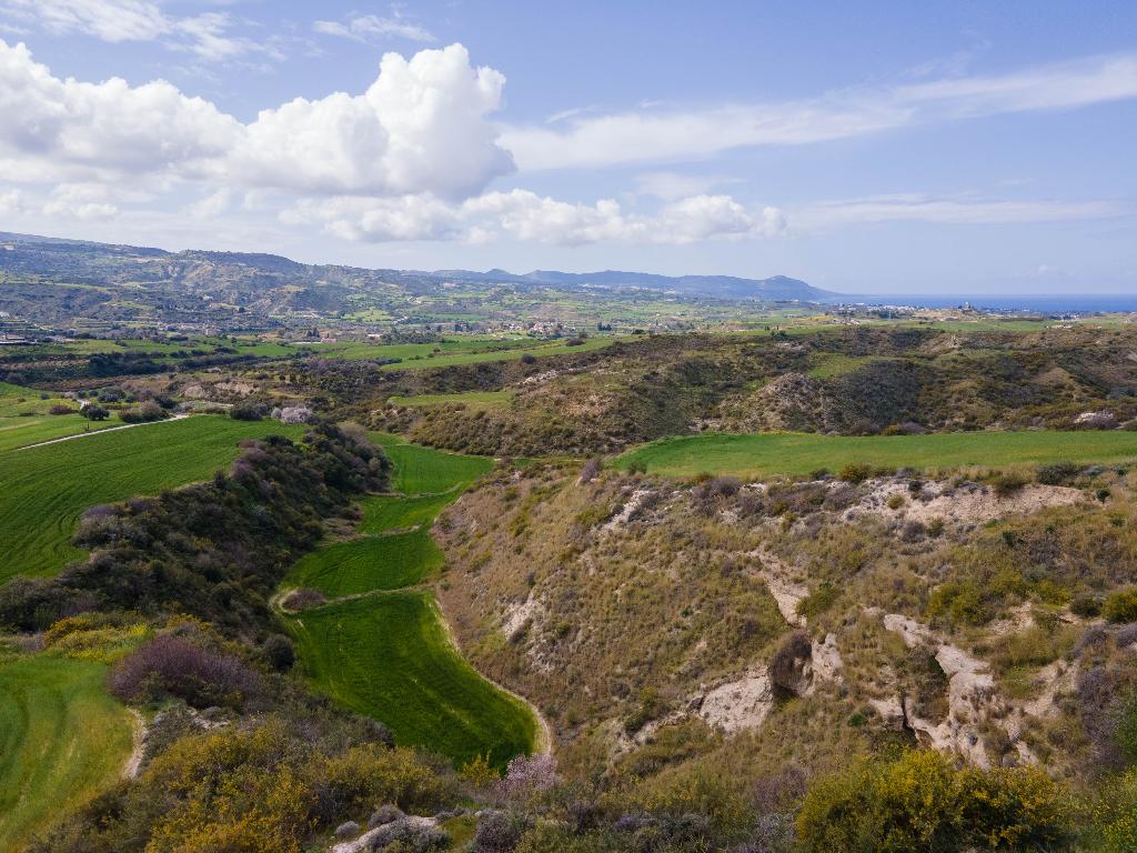 Agricultural Field for Sale - Steni, Paphos District image 5