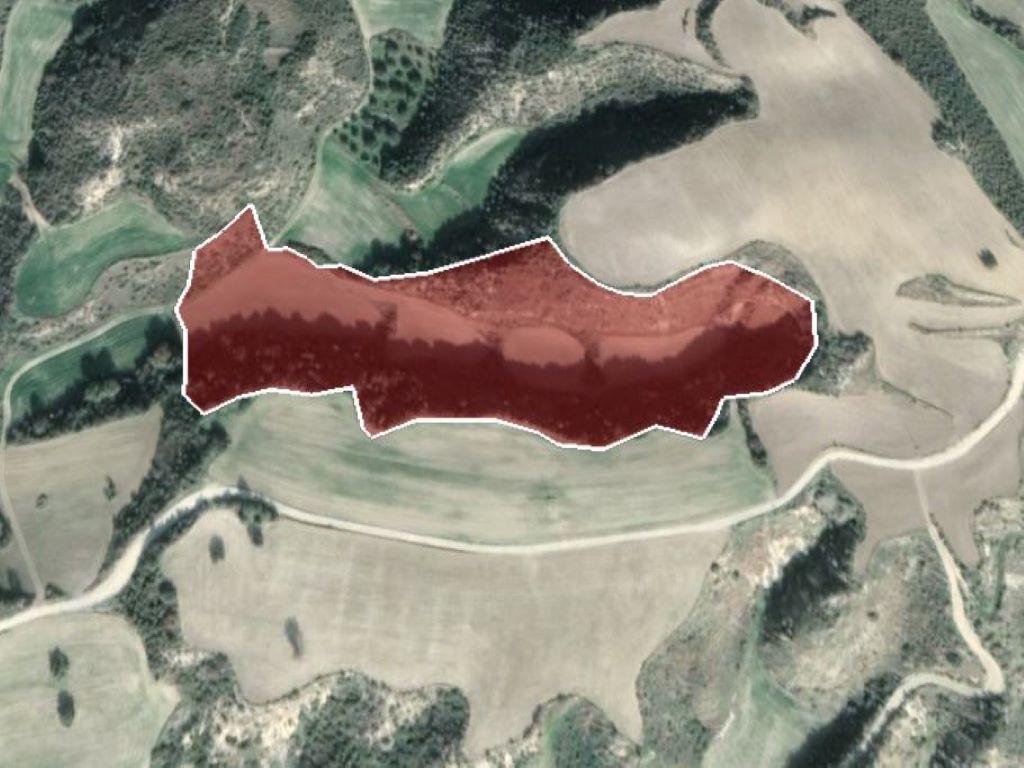 Agricultural Field for Sale - Steni, Paphos District image 2