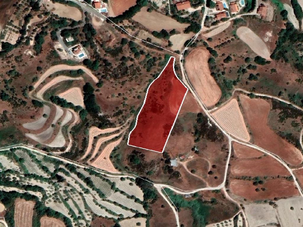 Agricultural Field 8361m2 – Polemi, Paphos image 5