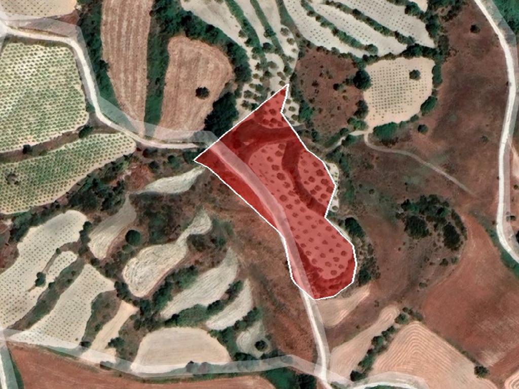 Agricultural field - Polemi, Paphos image 4