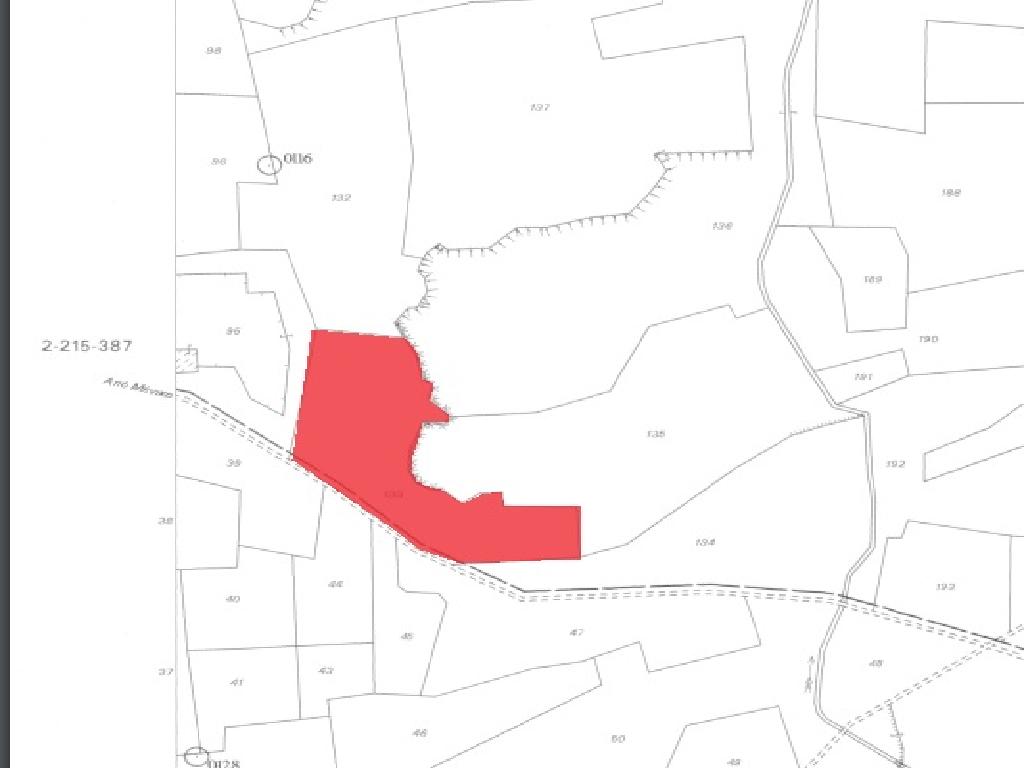 Γεωργικό Χωράφι προς Πώληση - Παλαιομέτοχο, Λευκωσία image 2