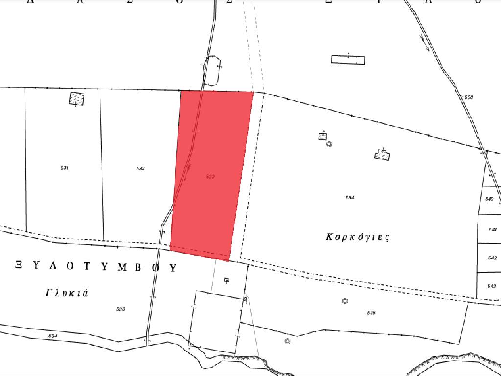 Touristic Field , Ormideia, Larnaca image 3