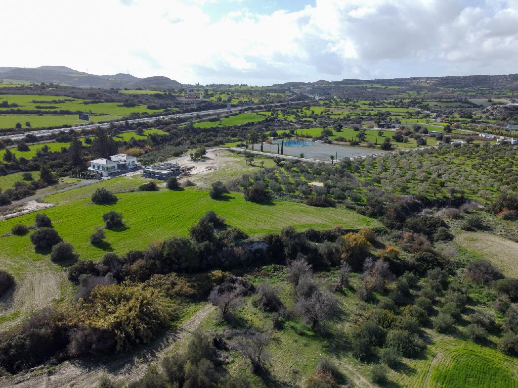 Field - Skarinou, Larnaca