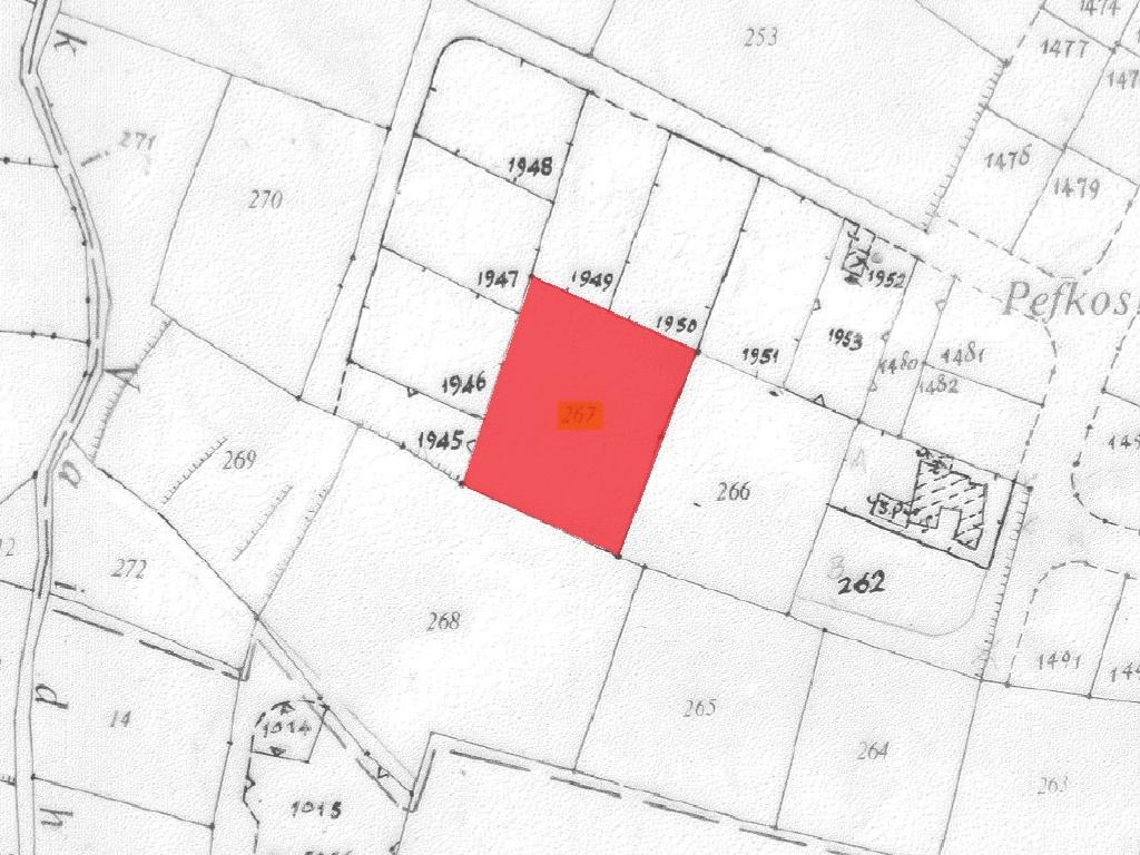 Διατίθεται προς πώληση το βόρειο 1/3 μερίδιο οικιστικού χωραφιού στο οποίο αναλογεί εμβαδόν περί τα image 3