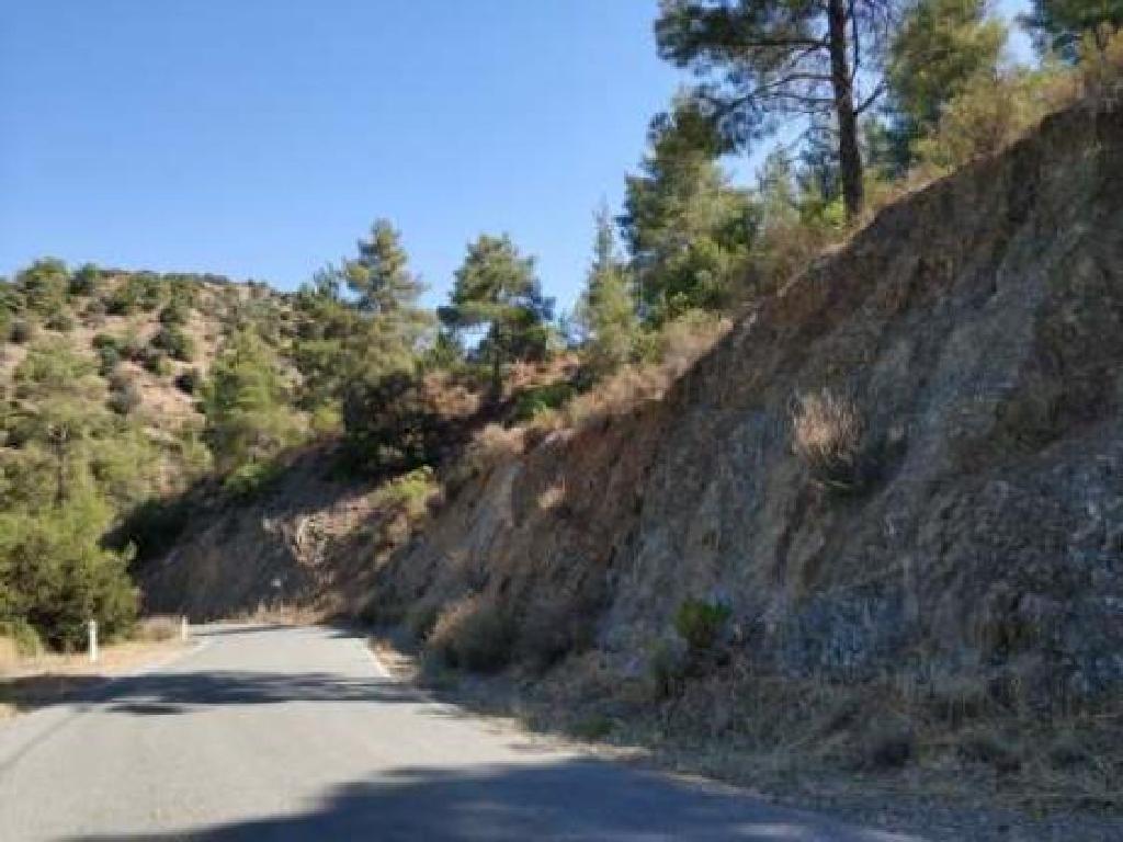 Agricultural Field – Kalo Chorio (Limassol District) image 3