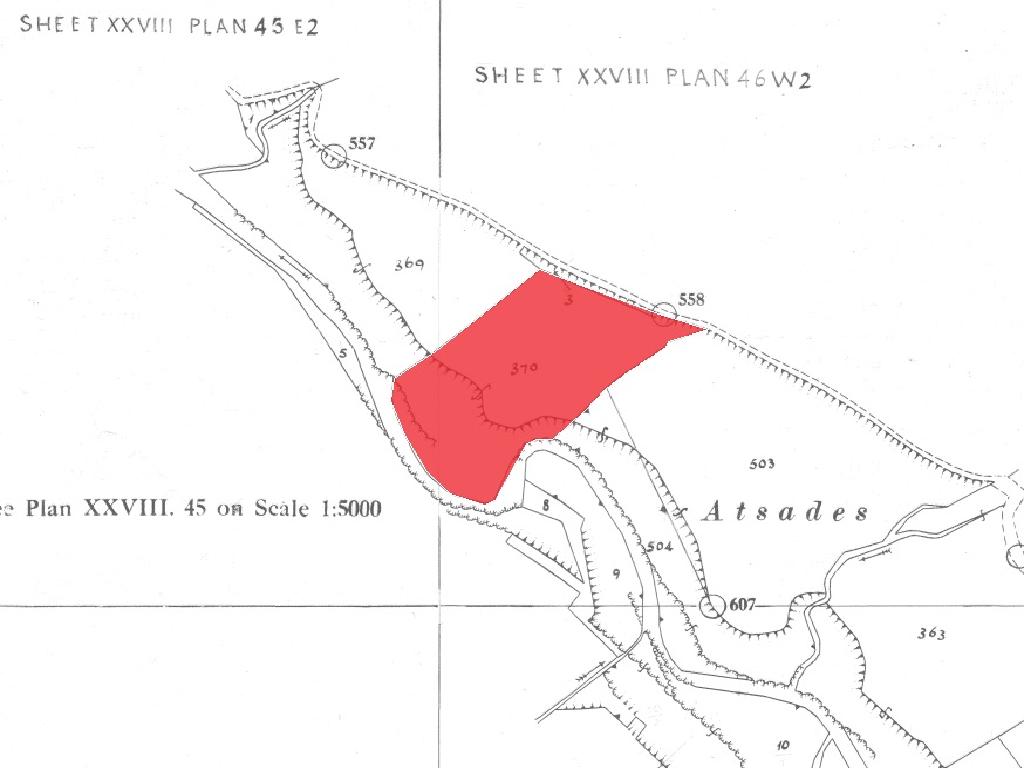 Agricultural Land for Sale - Ayios Theodoros (Soleas), Nicosia image 3