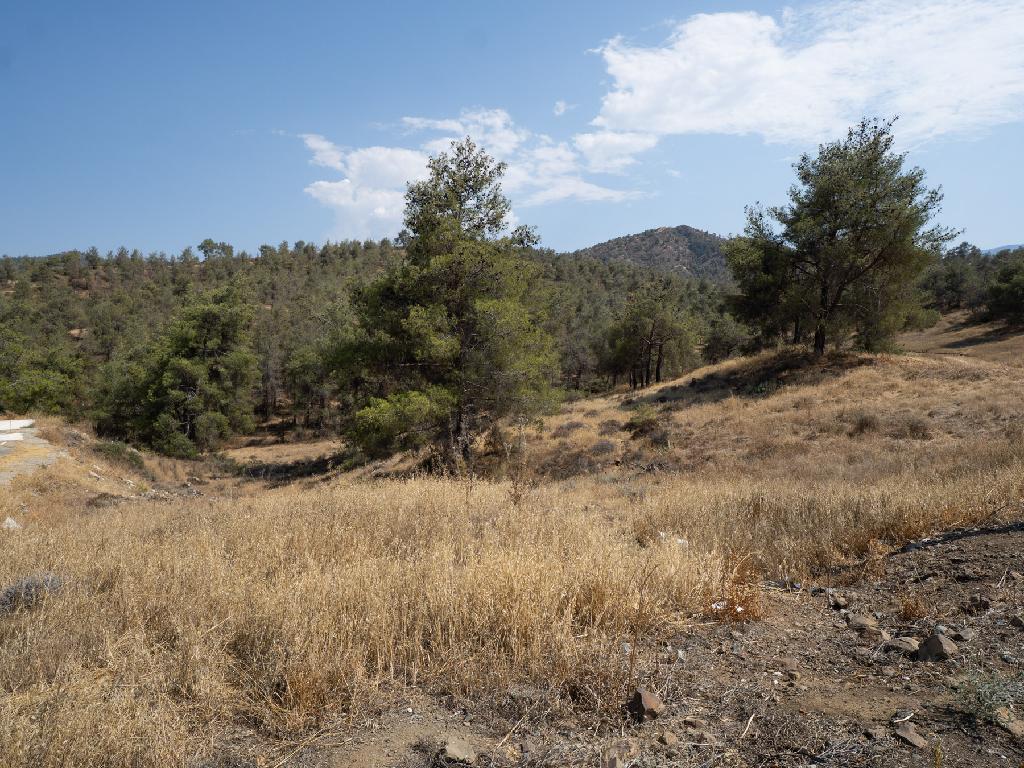 Agricultural Field - Evrichou, Nicosia image 3